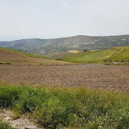 Sittis Estate Arodes